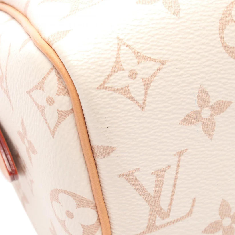 Pre-Owned Louis Vuitton Monogram Dune Speedy Bandouliere 20 - LV1997