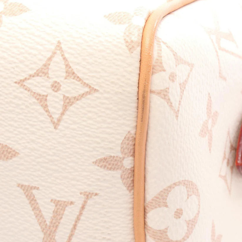 Pre-Owned Louis Vuitton Monogram Dune Speedy Bandouliere 20 - LV1997