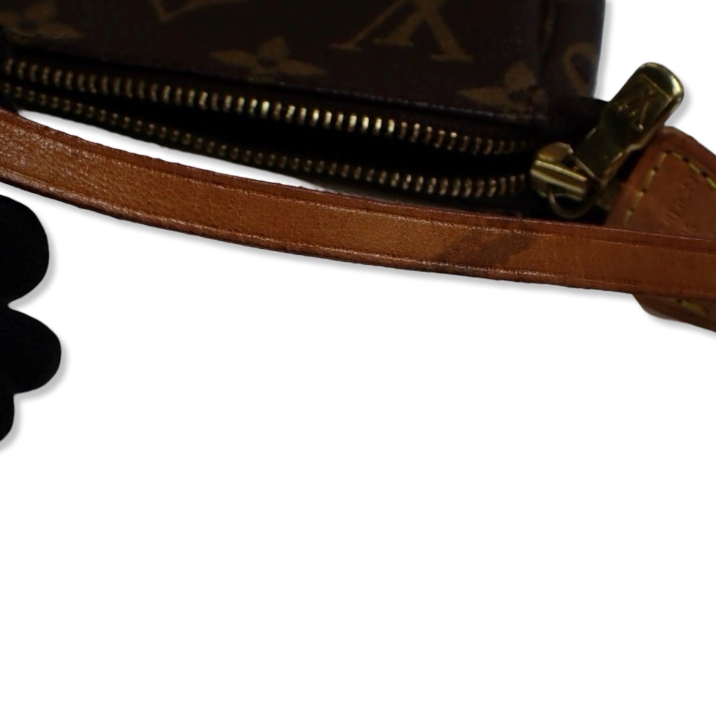 Pre-Owned Louis Vuitton Monogram Canvas Pochette Accessories - LV1931