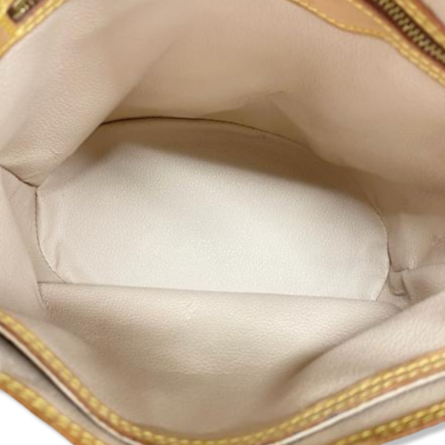 Pre-Owned Louis Vuitton Monogram Canvas Petit Bucket Bag - LV1553